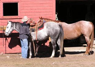 activities-main-310.jpg (16096 bytes)