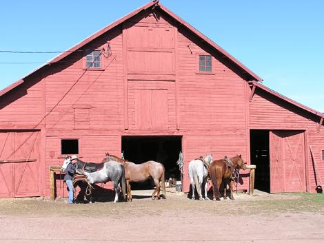 horsehotel-bottom-470.jpg (30552 bytes)